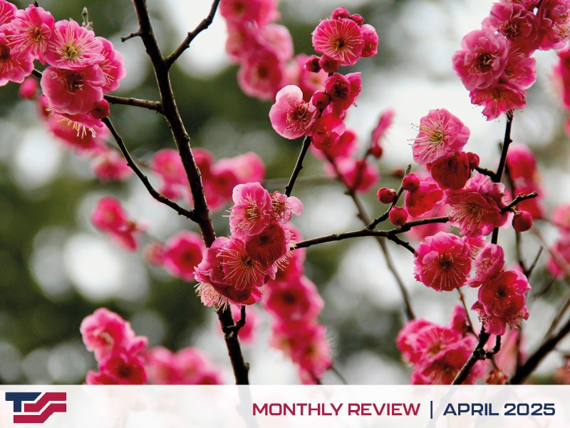 Monthly Review - April 2025