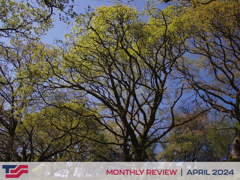 Monthly Review - April 2024