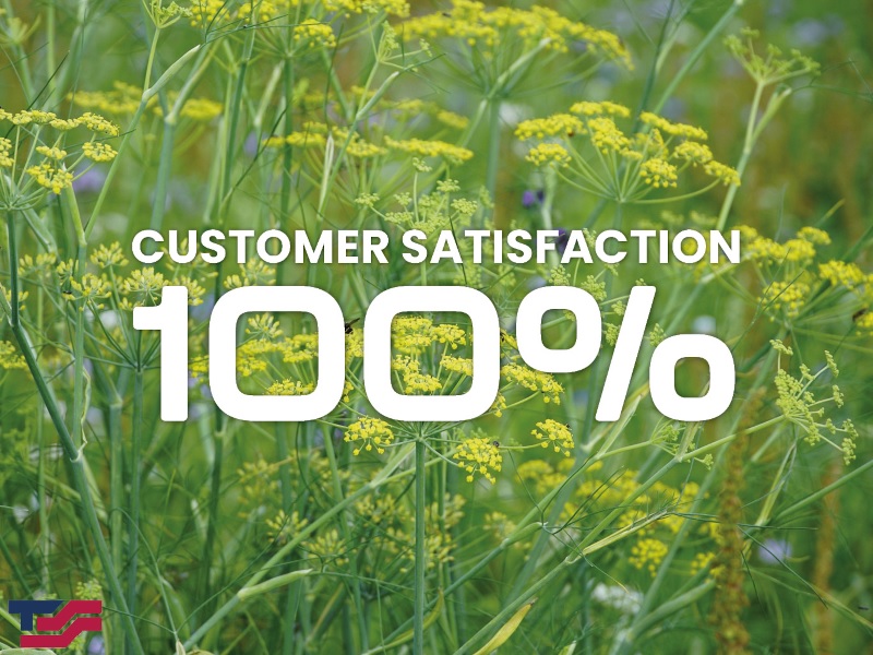 100% Customer Satisfaction