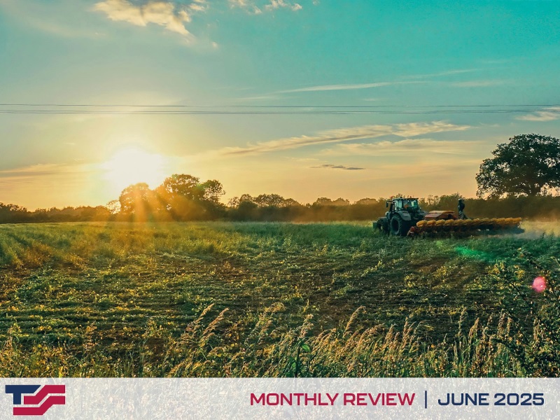 Monthly Review - June 2025