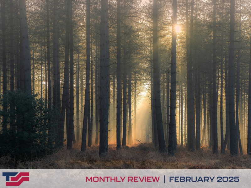 Monthly Review - February 2025