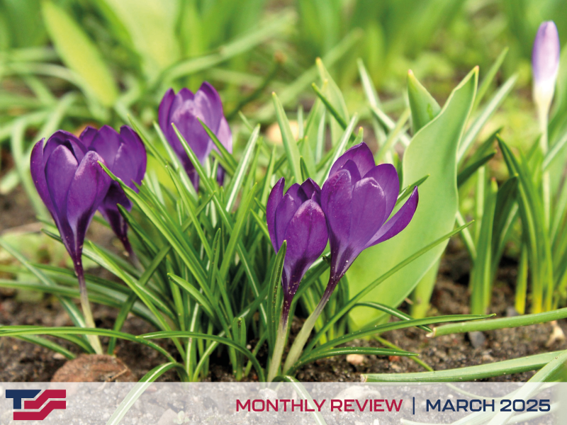 Monthly Review - March 2025