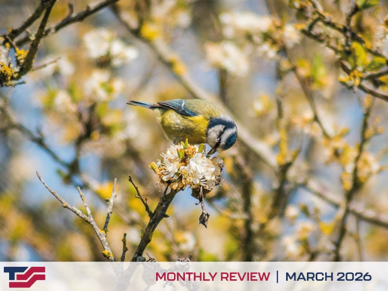 Tactical Support Solutions - Monthly Review (March 2026)