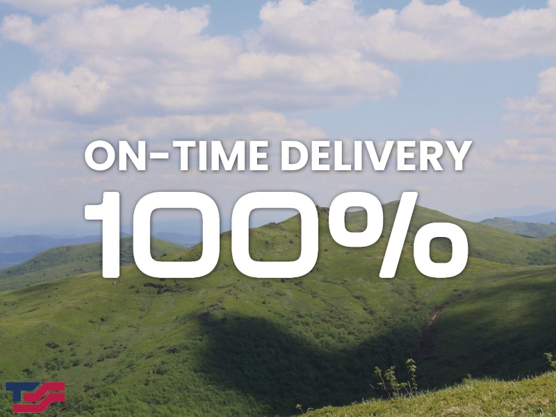 100% On Time Delivery in May 2025