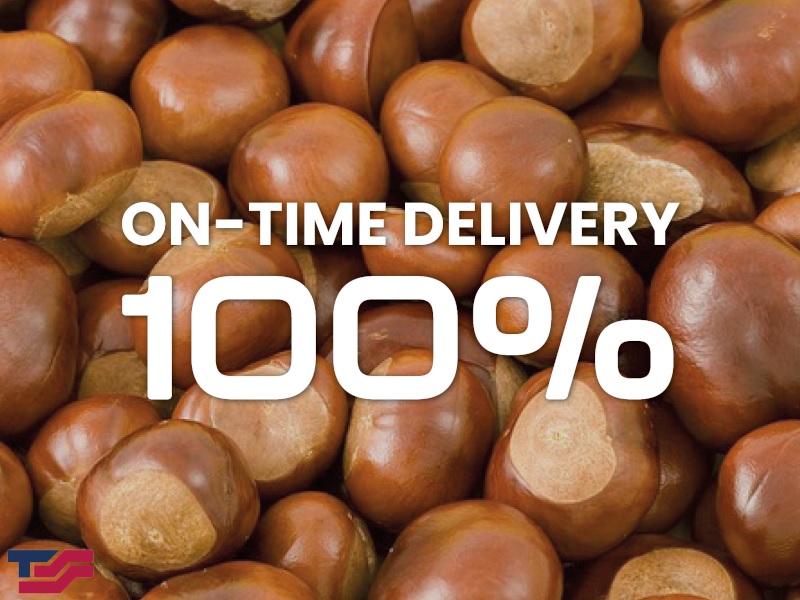 100% On-Time Delivery (October 2024)