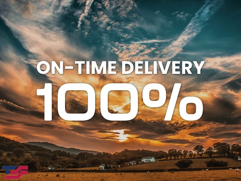 100% On Time Delivery
