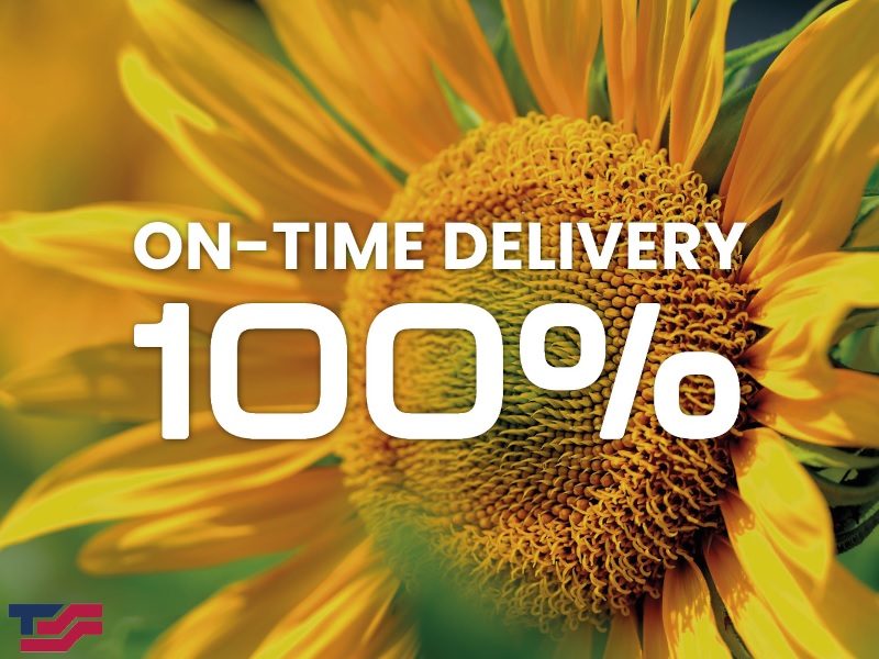 100% On-Time Delivery in June 2025