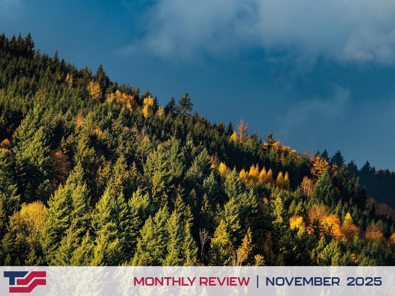 Monthly Review - November 2025