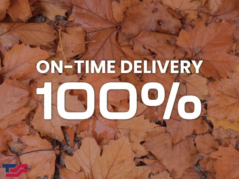 100% On-Time Delivery in November 2025