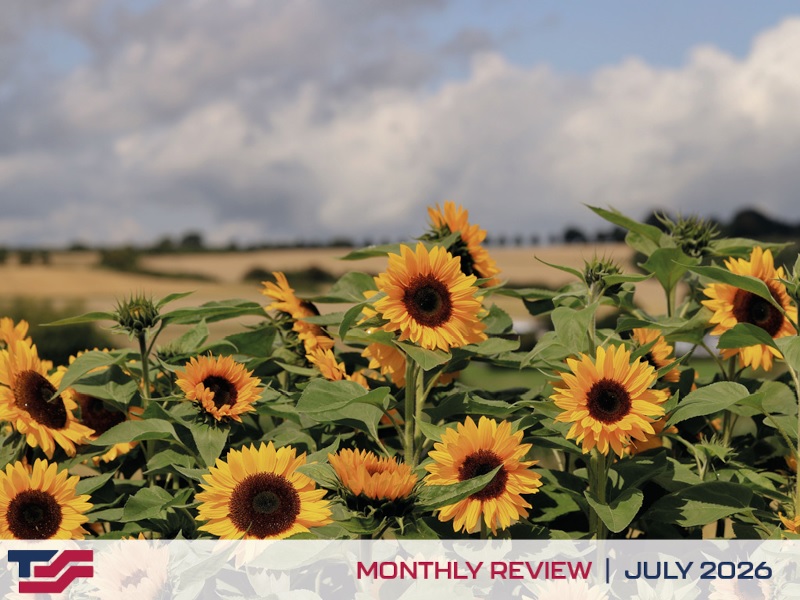 Tactical Support Solutions - Monthly Review (July 2026)